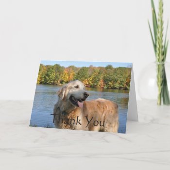 Golden Retriever Thank You At The Lake Card by normagolden at Zazzle