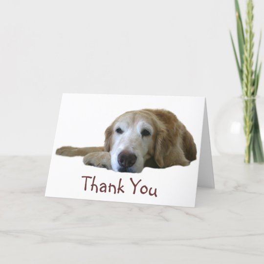 Golden Retriever Thank You Card | Zazzle.com