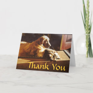 Golden Retriever Thank You Card Cat Best Friends