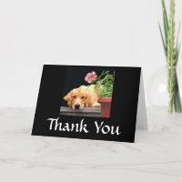 Golden Retriever Thank You Card Flower