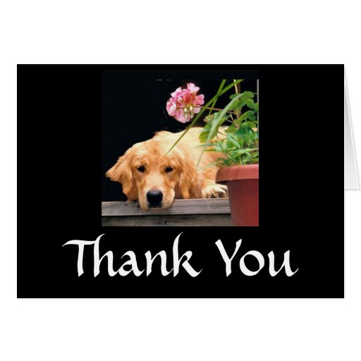 Golden Retriever Thank You Card Flower | Zazzle