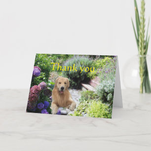 Golden Retriever Thank You In The Garden Card