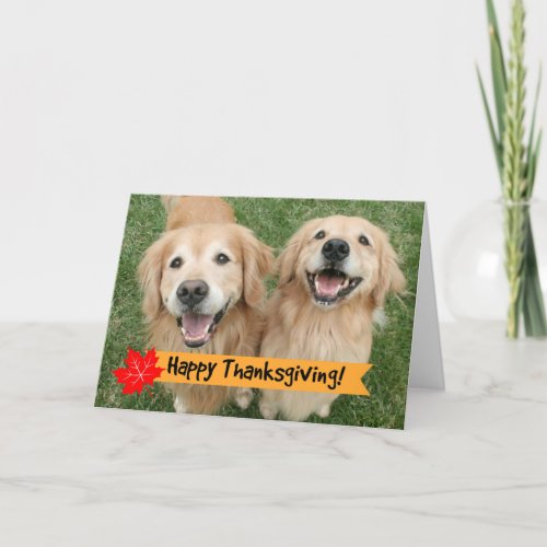 Golden Retriever Thanksgiving Day Wishes Holiday Card