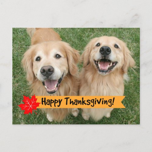 Golden Retriever Thanksgiving Day Wishes Holiday Postcard