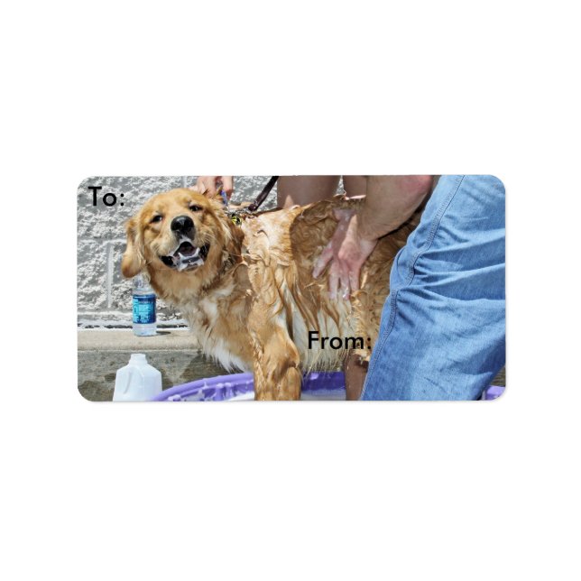 Golden Retriever - That the Spot! Label (Front)