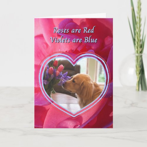 Golden Retriever The Dog is my Favorite Valentines Card