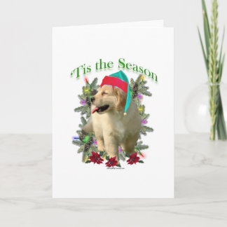 Golden Retriever ‘Tis Holiday Card