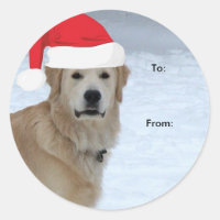 Golden Retriever To/From Christmas stickers