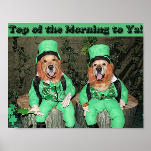 Golden Retriever Top of the Morning Leprechauns Poster