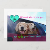 Golden Retriever Travel Friendship Postcard | Zazzle