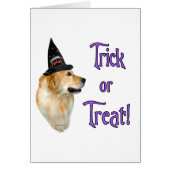 Golden Retriever Trick (Front)