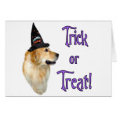 Golden Retriever Trick (Front Horizontal)