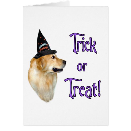 Golden Retriever Trick Cards (Front)