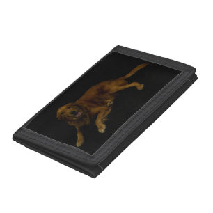 Golden Retriever Trifold Wallet