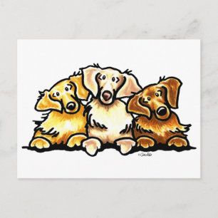 Golden Retriever Trio Postcard