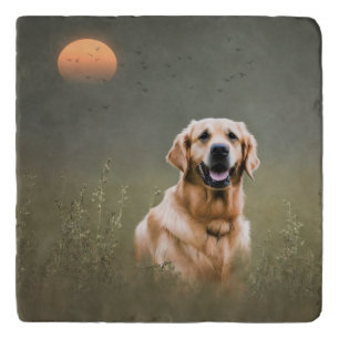 Golden Retriever Trivet