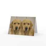 Golden Retriever Twins Greeting Card