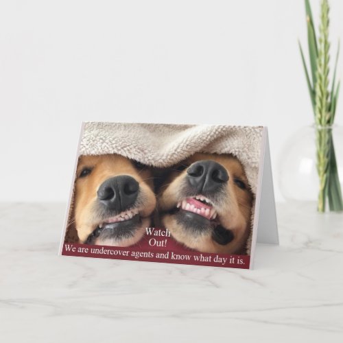 Golden Retriever Undercover Agents Birthday Card