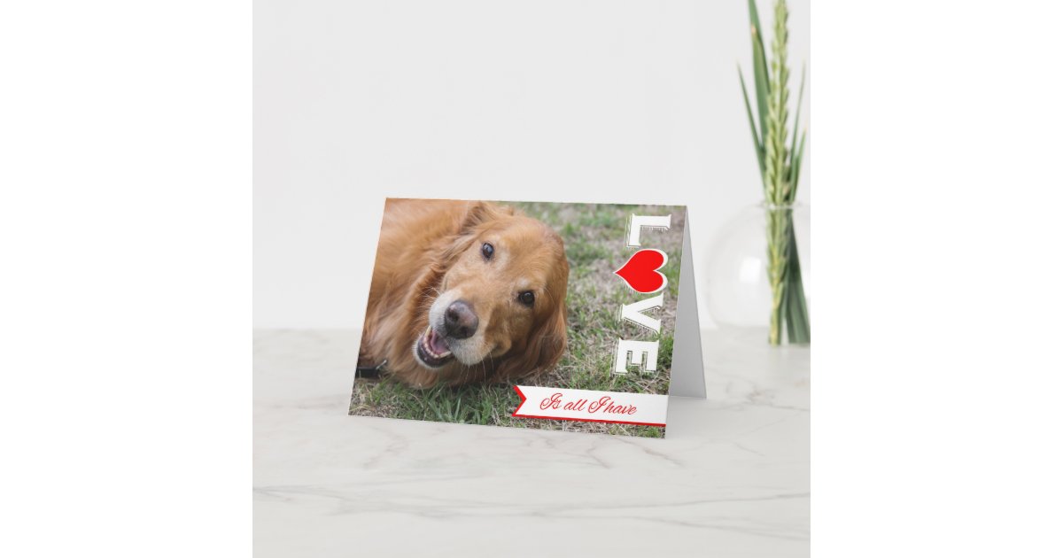 golden-retriever-valentine-card-zazzle