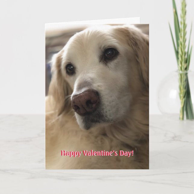 Golden Retriever Valentine Holiday Card (Front)