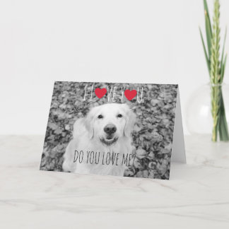 Golden retriever VALENTINE'S DAY Greeting card