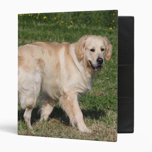 Golden Retriever Walking Binder