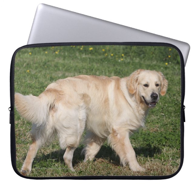 Golden Retriever Walking Laptop Sleeve (Front)