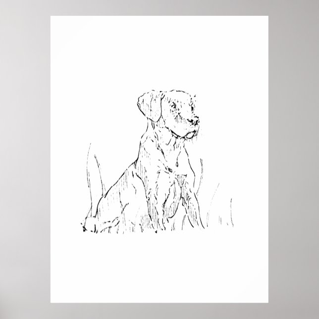  Golden Retriever Wall Art Poster,Ink Illustration (Front)