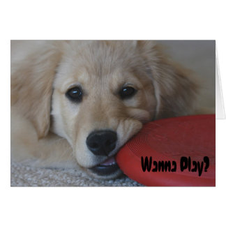 Golden Retriever Wanna Play... Cards
