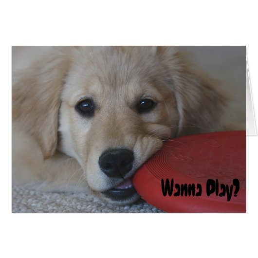 Golden Retriever Wanna Play... Cards (Front Horizontal)