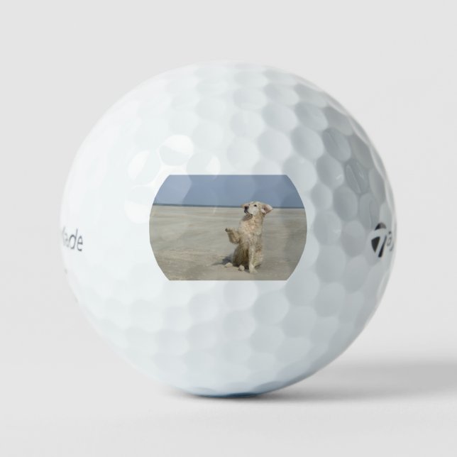 golden-retriever-waving at beach golf balls (Front)