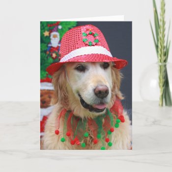 Golden Retriever Wearing A Christmas Fedora Hat Holiday Card by CullyBearDesigns at Zazzle