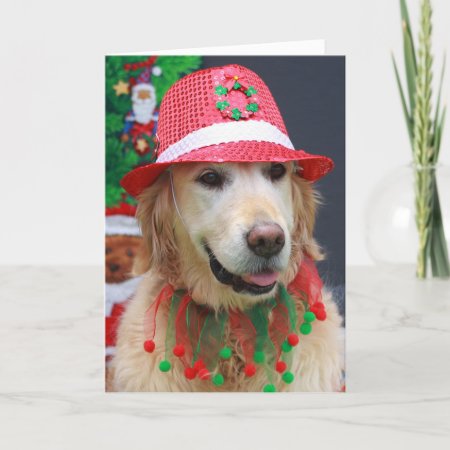 Golden Retriever Wearing A Christmas Fedora Hat Holiday Card