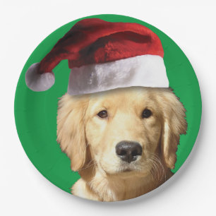 Golden Retriever wearing a Santa Claus Hat Paper Plates