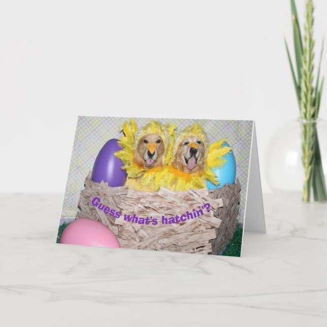 Golden Retriever What's Hatchin' Easter Card (Front)