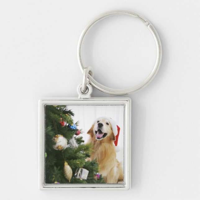 Golden retriever which watches Christmas tree Keychain (Front)