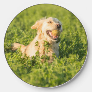 Golden Retriever Wireless Charger
