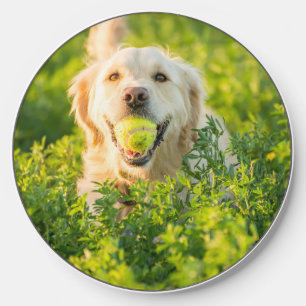 Golden Retriever Wireless Charger