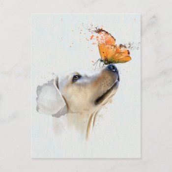 Golden Retriever With A Butterfly On Its Nose Postcard by j_krasner at Zazzle
