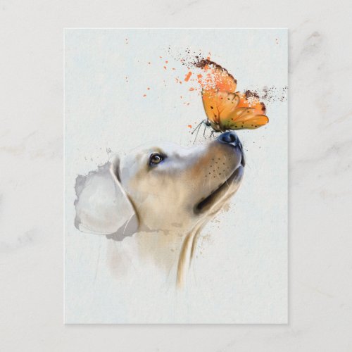 Golden Retriever With a Butterfly on Its Nose Postcard