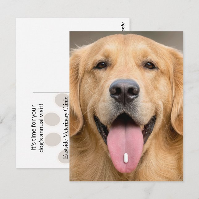 Golden Retriever with a Pill Postcard (Front/Back)