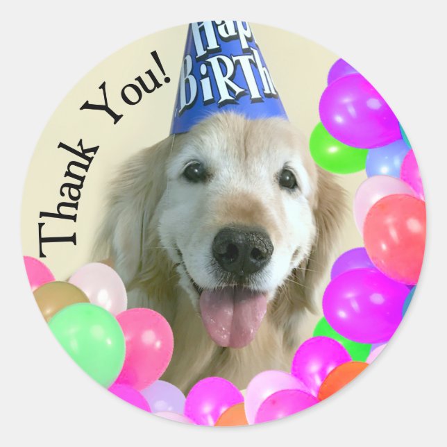 Golden Retriever With Balloons Thank You Birthday Classic Round Sticker (Front)