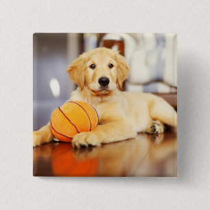 Golden Retriever With Basketball Toy Button