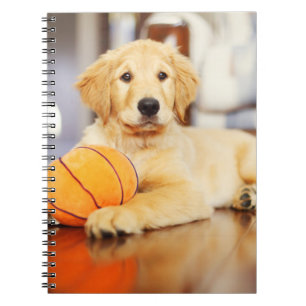 Golden Retriever With Basketball Toy Notebook
