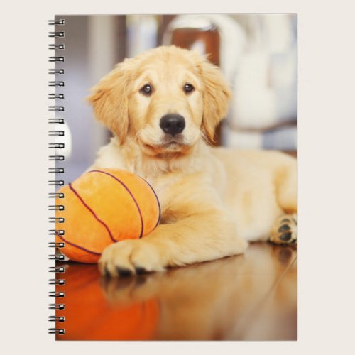 Golden Retriever With Basketball Toy Notebook Golden Retriever With Basketball Toy Notebook