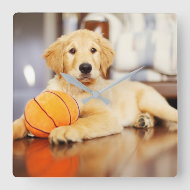 Golden Retriever With Basketball Toy Square Wall Clock (Front)