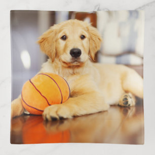 Golden Retriever With Basketball Toy Trinket Tray