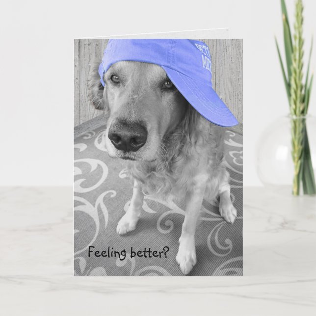 Golden Retriever with Cap Card (Front)