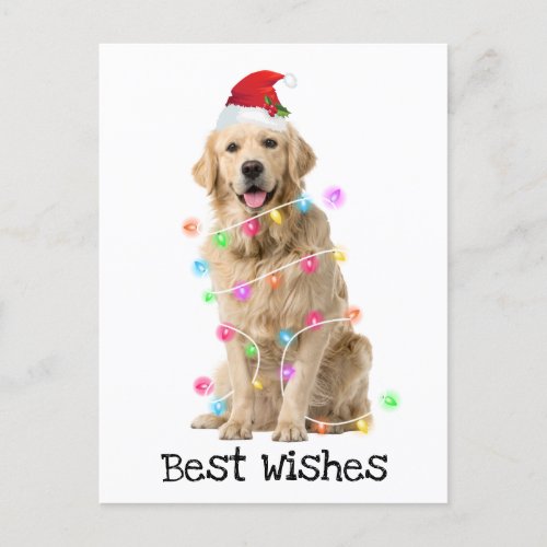 Golden Retriever with Christmas Lights Holiday Postcard