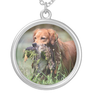 Golden Retriever with duck necklace